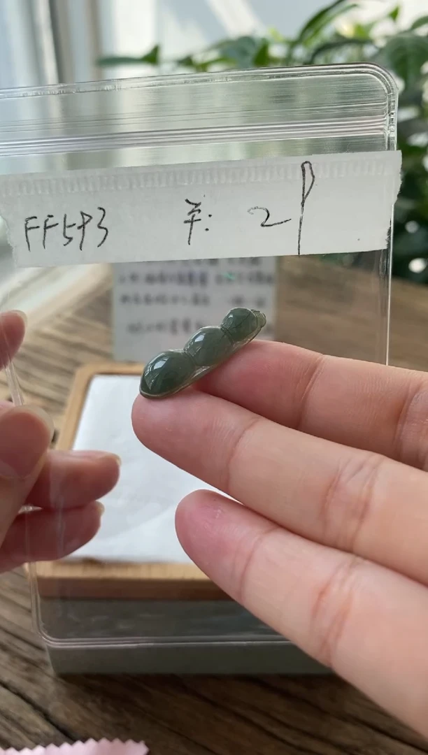 翡翠未镶嵌吊坠(不含链)FF593