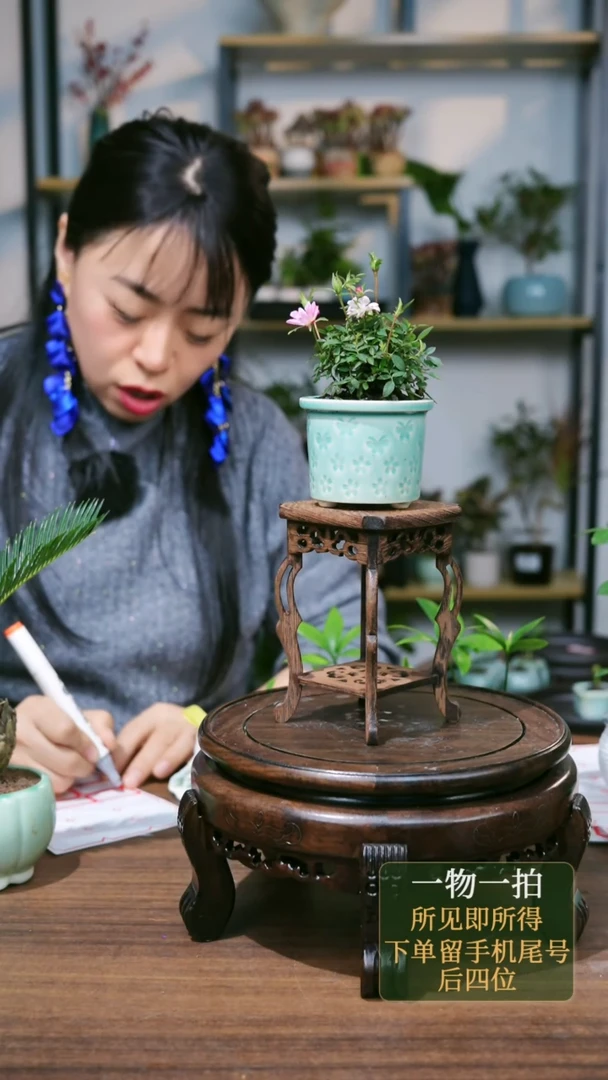 【闪购商品】31---5956绿姬乙女