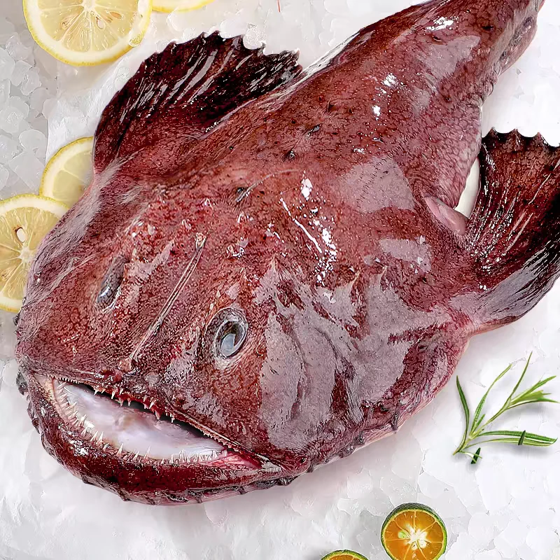 安康鱼野生软骨鱼红烧非常美味