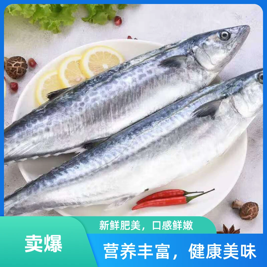 广东新鲜海鲜马鲛鱼【1斤左右一条，切段发出，到手5斤左右】