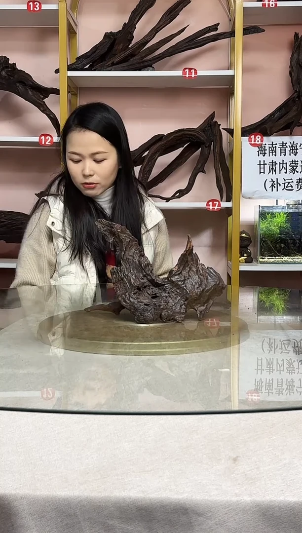 潘*石鱼缸造景沉木A047