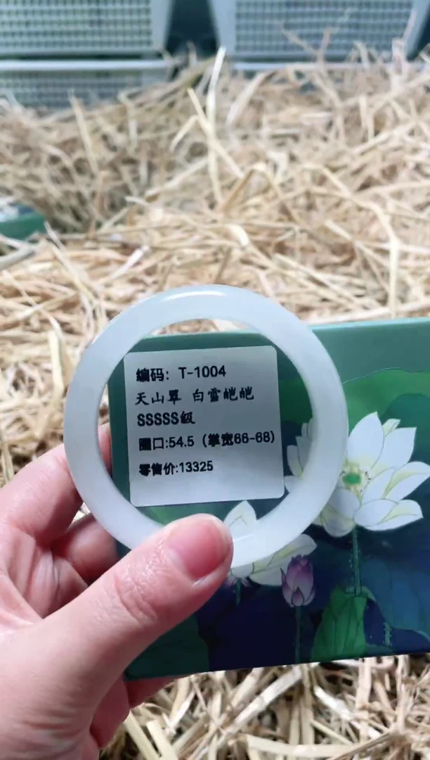 未镶嵌手镯石英质玉T-1004