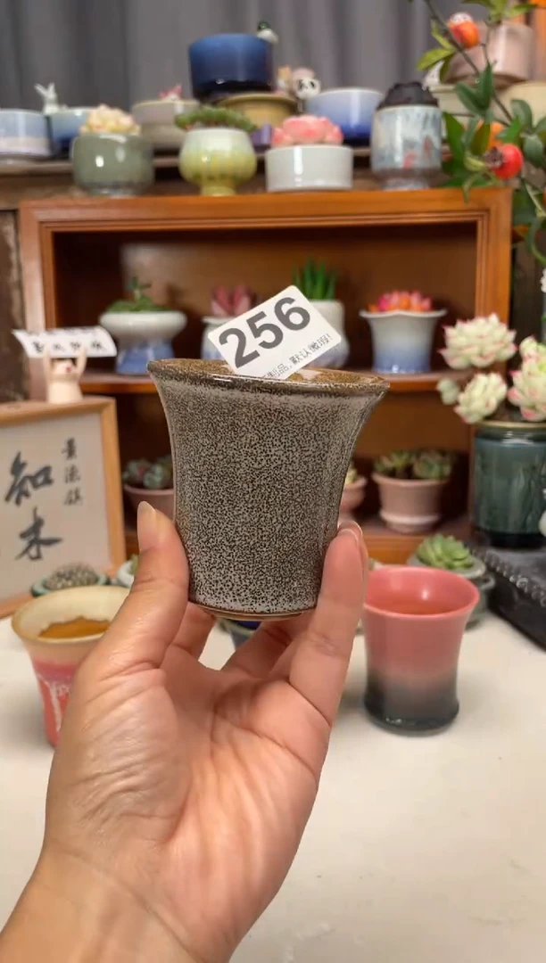 瓷片这**样256知木小芳花盆