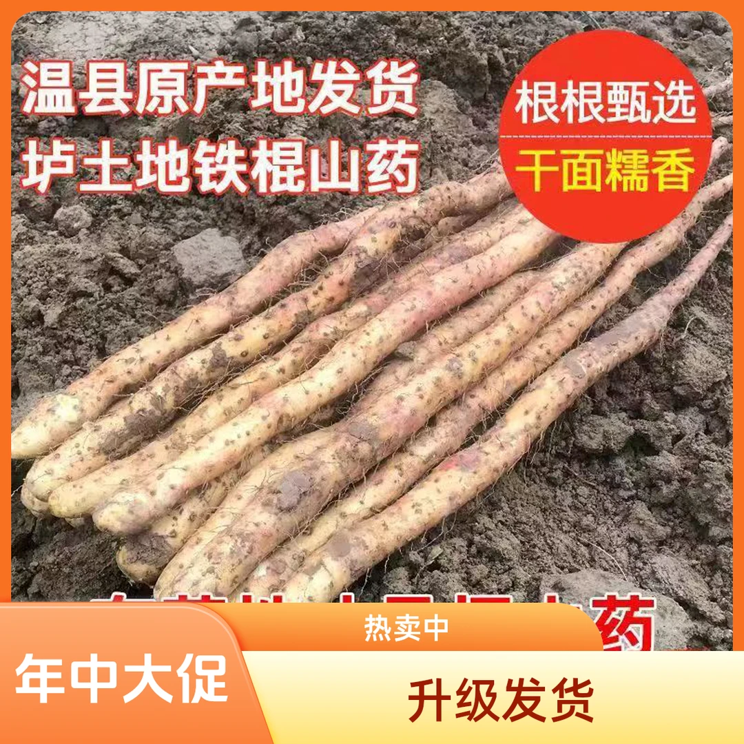 覃怀地40断果【非遗古法温县正宗】垆土铁棍山药怀山药药食同源