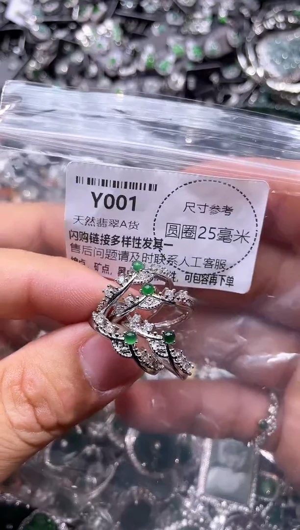 翡翠未镶嵌颈饰Y001戒指