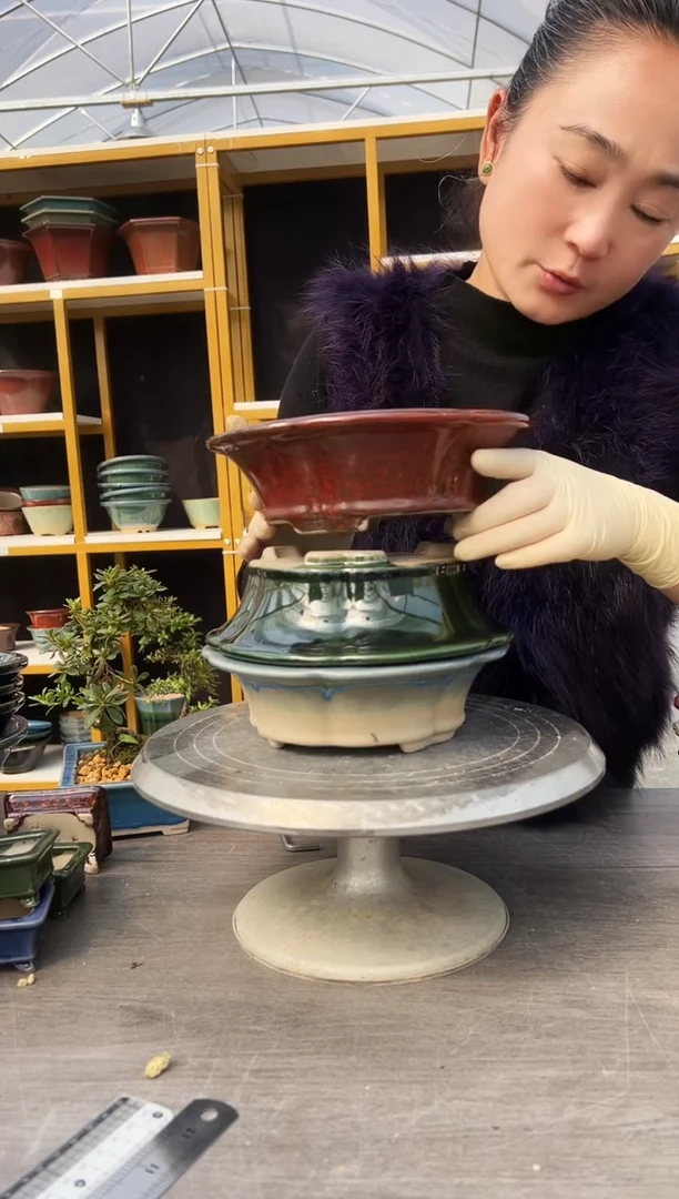 风*31号三色组合链接