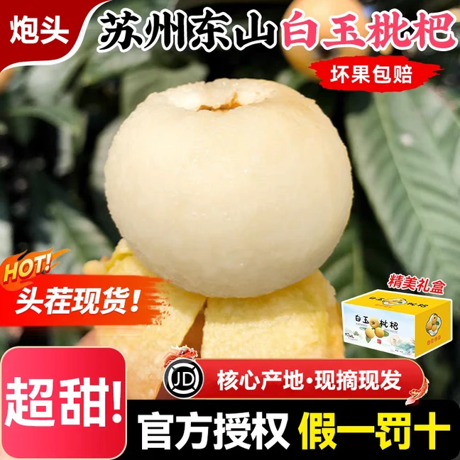 【正宗东山白玉枇杷炮头】白玉枇杷核心产区新鲜采摘冷链35-45g礼盒