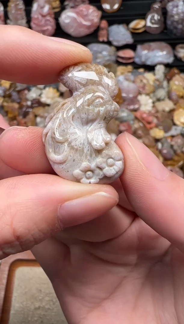 颈饰未镶嵌硅化珊瑚（珊瑚玉）587