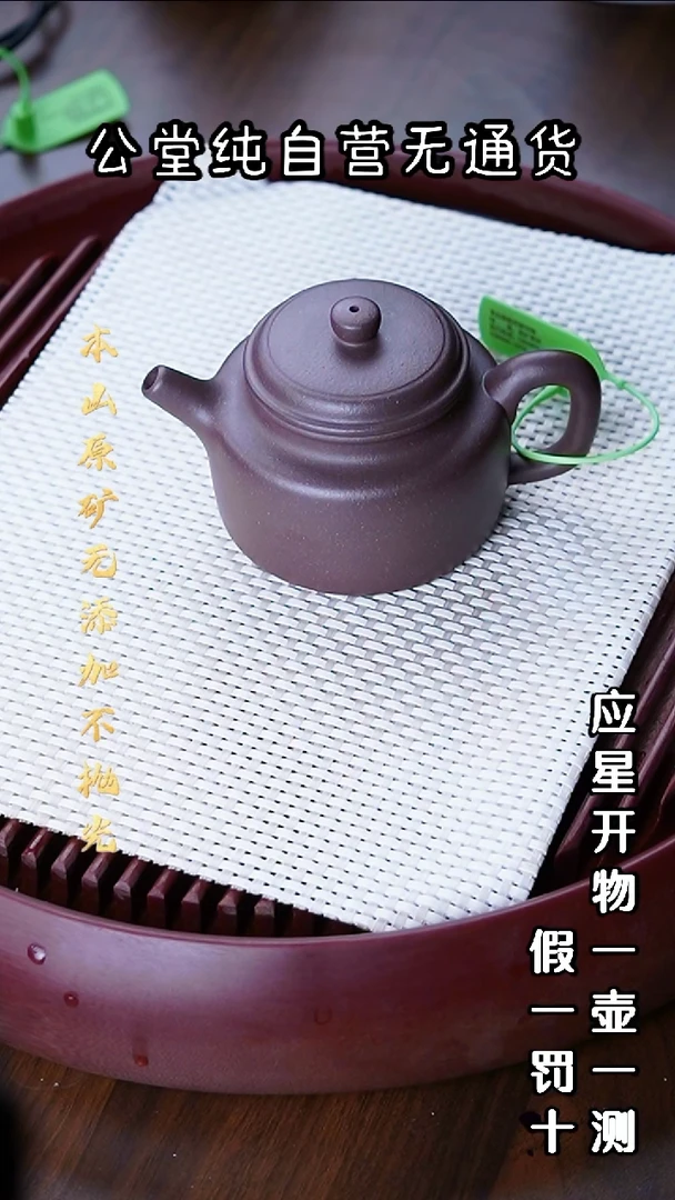 茶壶紫砂大水潭天青泥 大亨德钟 230cc