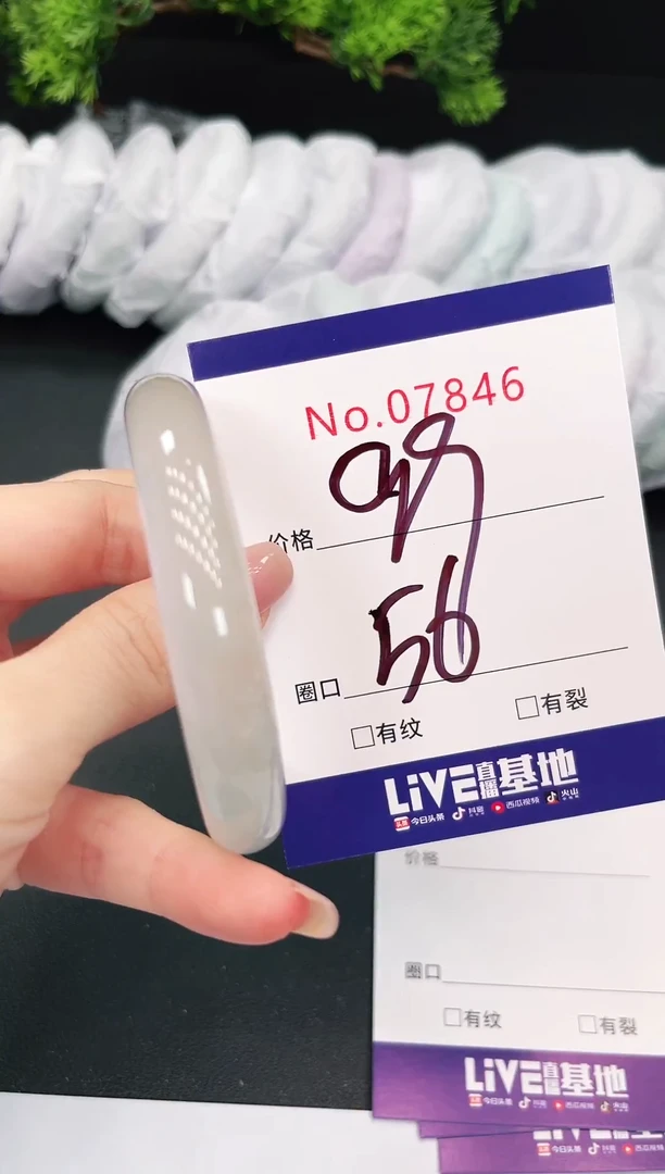未镶嵌手镯翡翠7846