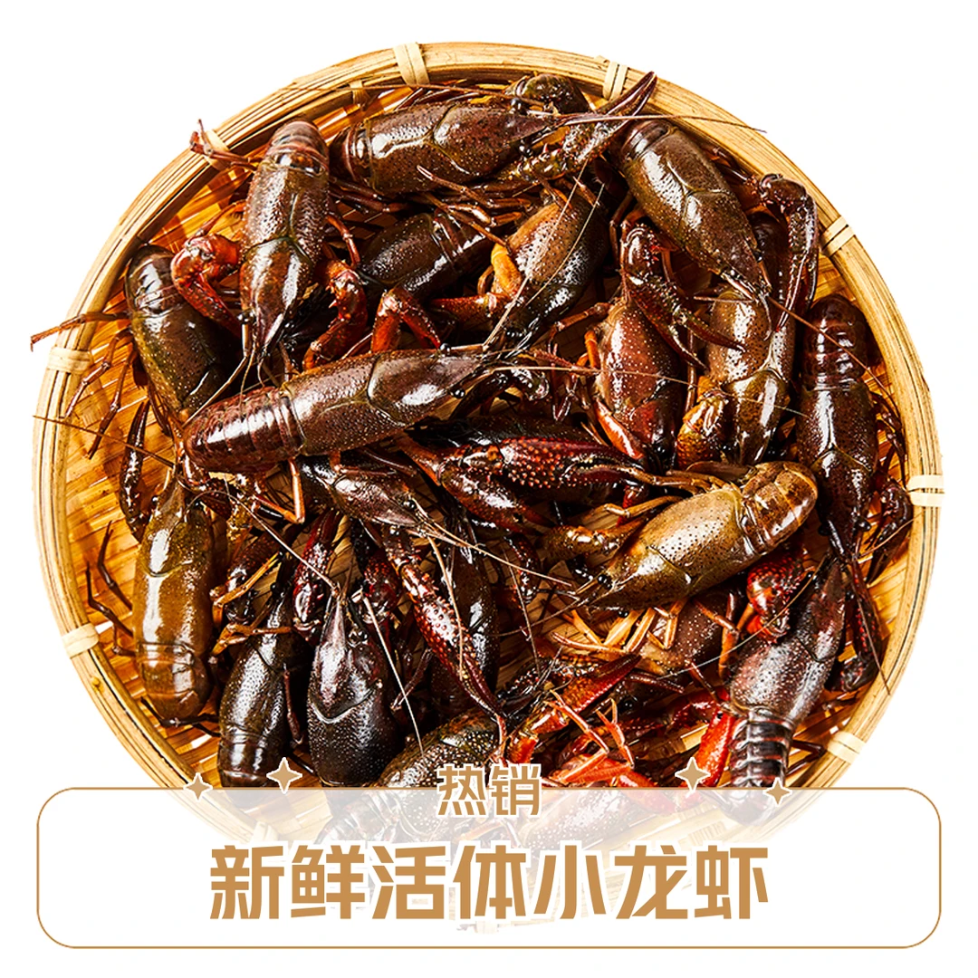 鲜活清水龙虾【大号】3-5斤