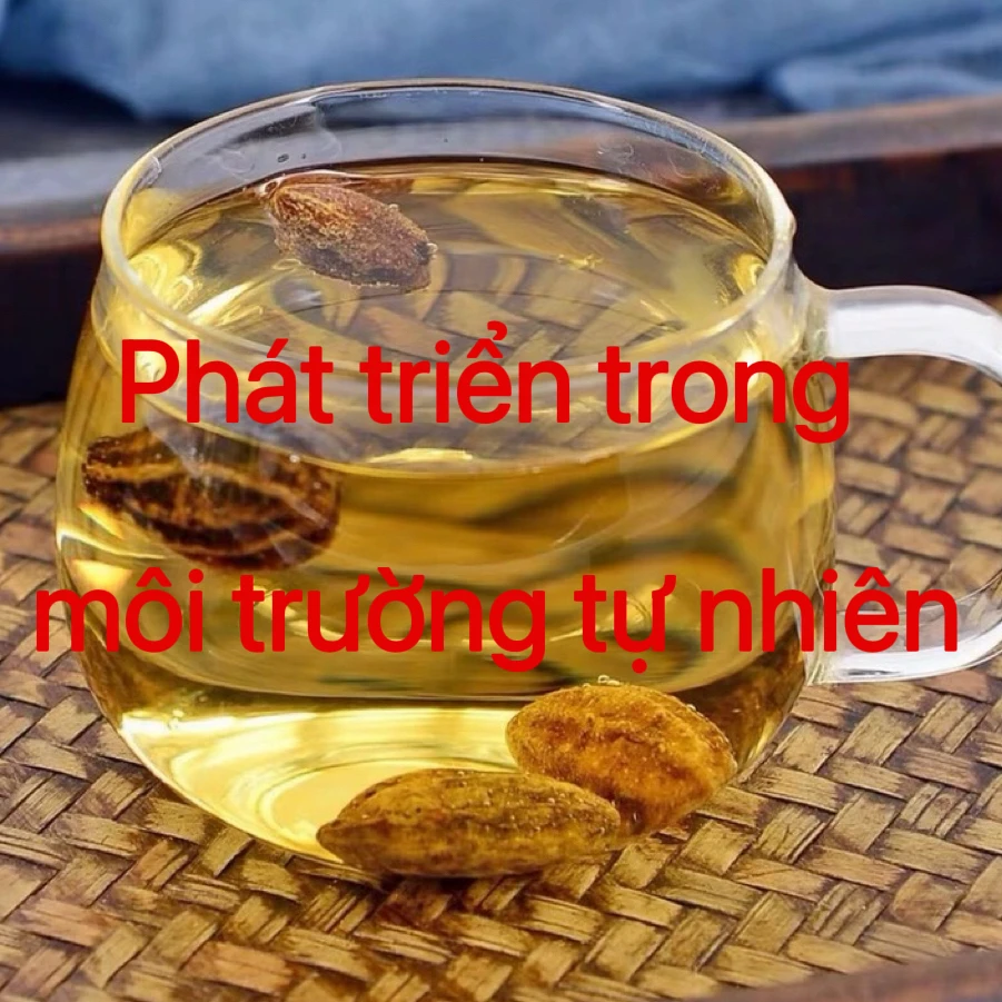 【xy专属】越南黄金果 精品严选