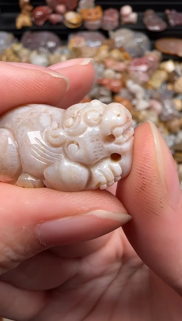 硅化珊瑚（珊瑚玉）未镶嵌颈饰675