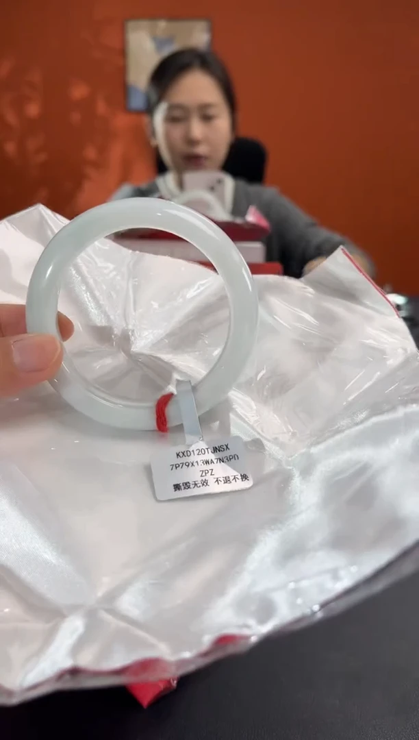 未镶嵌手镯翡翠4     56