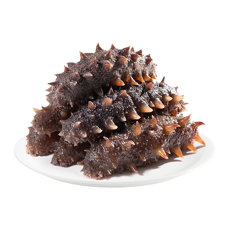 董二胖7-9头1斤品质鲜食海参热销装口感劲道大连