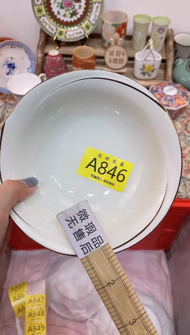 瓷片李**丽                A846