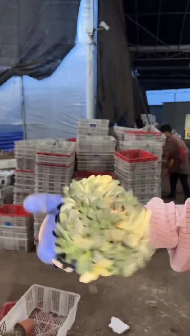 姬寿锦保3锦头6.88