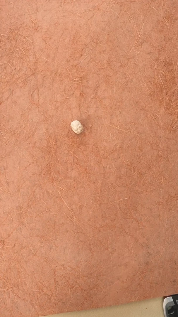 其他猛犸象牙M749