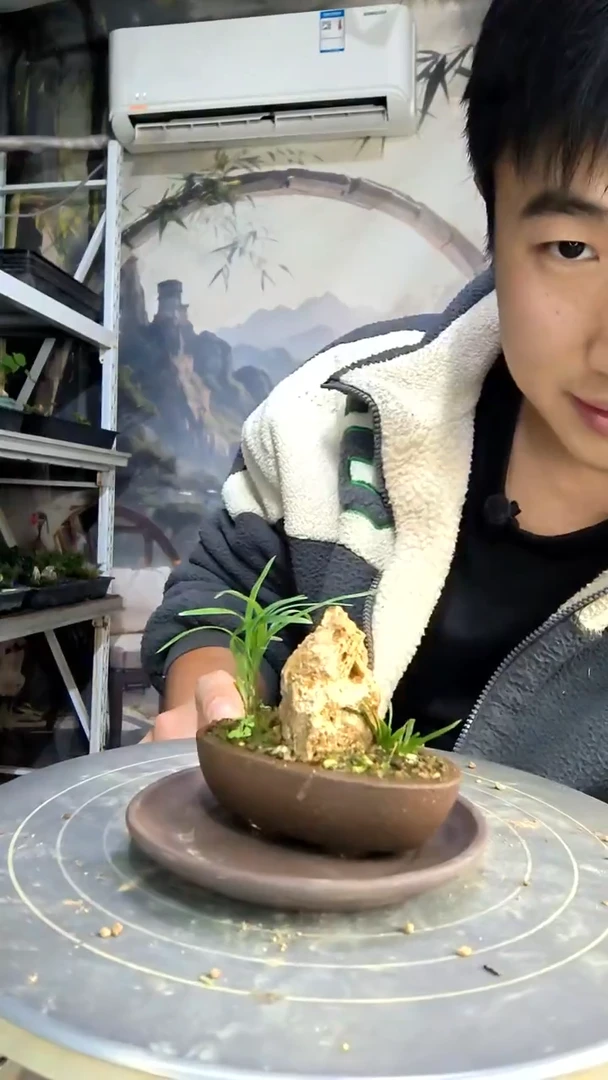 T****i中青园艺一物一拍437