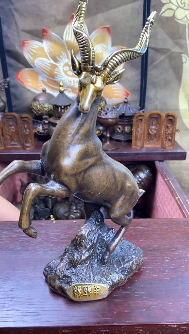 信德铜专属精选链接