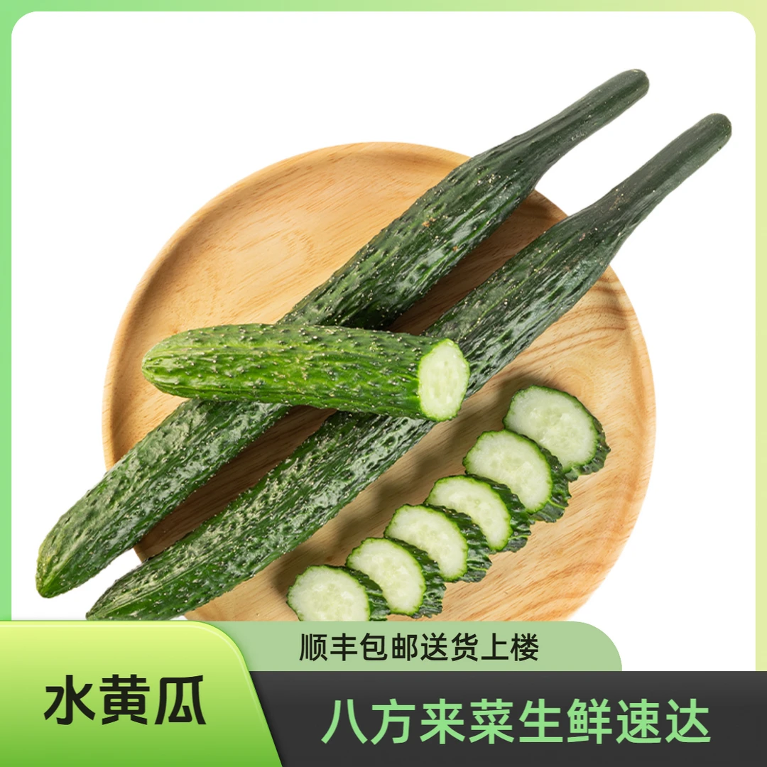 黄瓜约500g/份新鲜