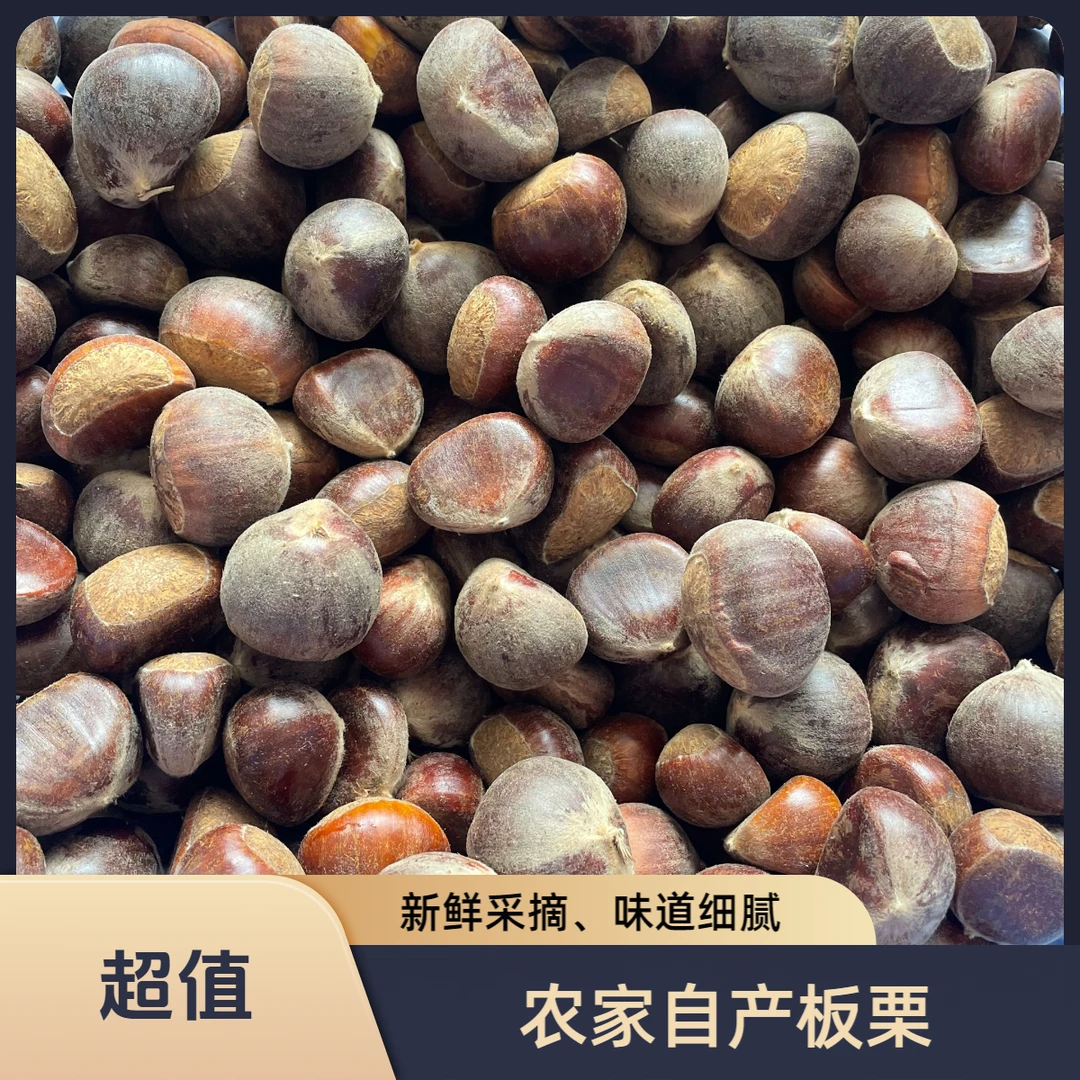 广西农家自产新鲜采摘板栗香甜软糯味道好