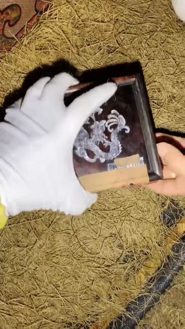 香榧木一一一一一一一一福利