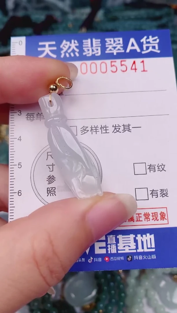 颈饰未镶嵌翡翠00005541
