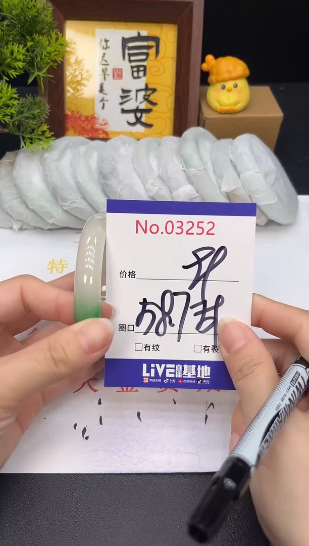 未镶嵌手镯翡翠3252