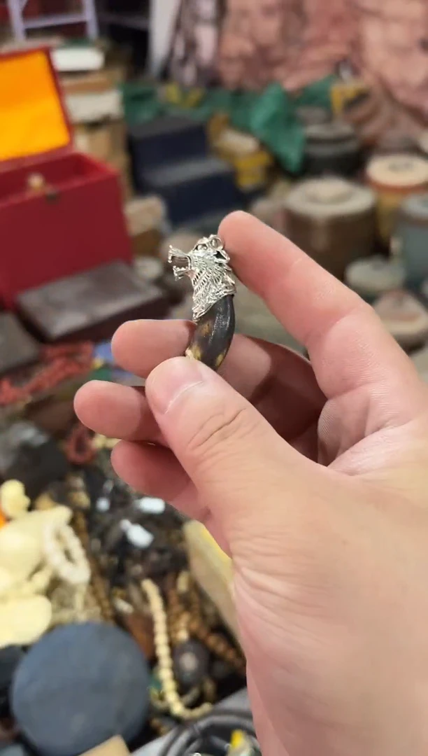 黄杨木11111111111111111111