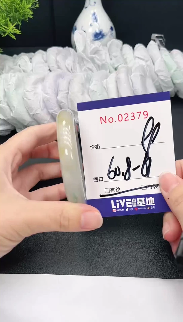 未镶嵌手镯翡翠2379