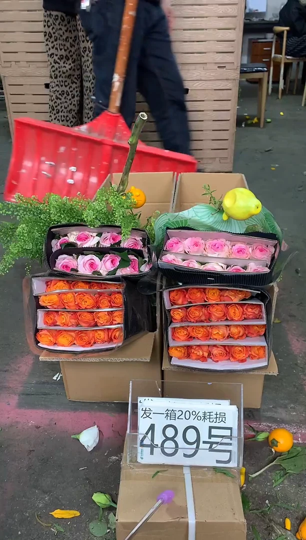 489号♥含20%耗损发一箱