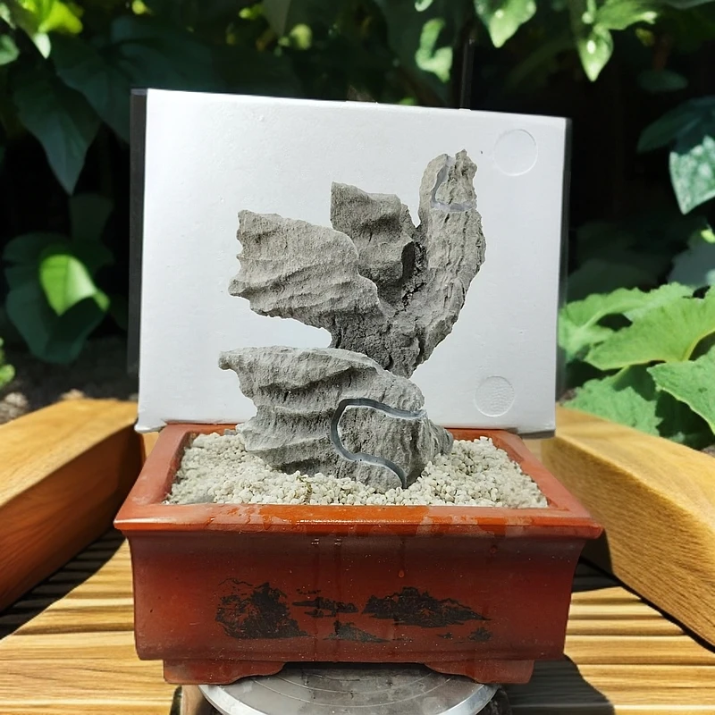 乌蒙磬石，鱼缸造景，盆景附石，办公桌摆件