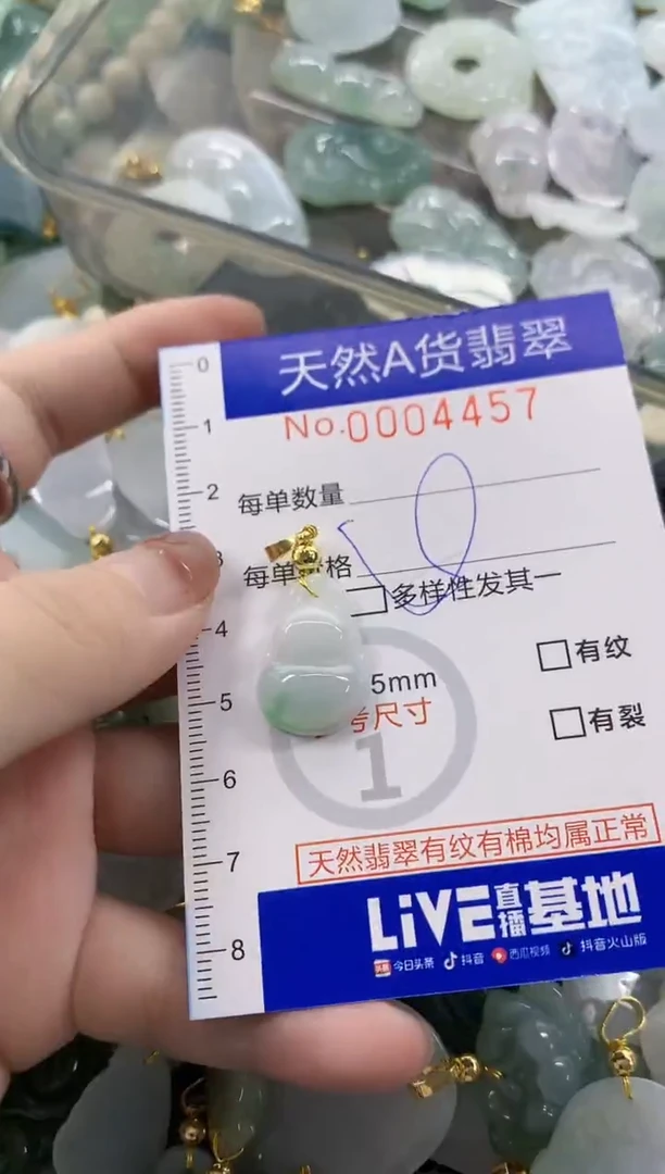 颈饰未镶嵌翡翠天然A货翡翠