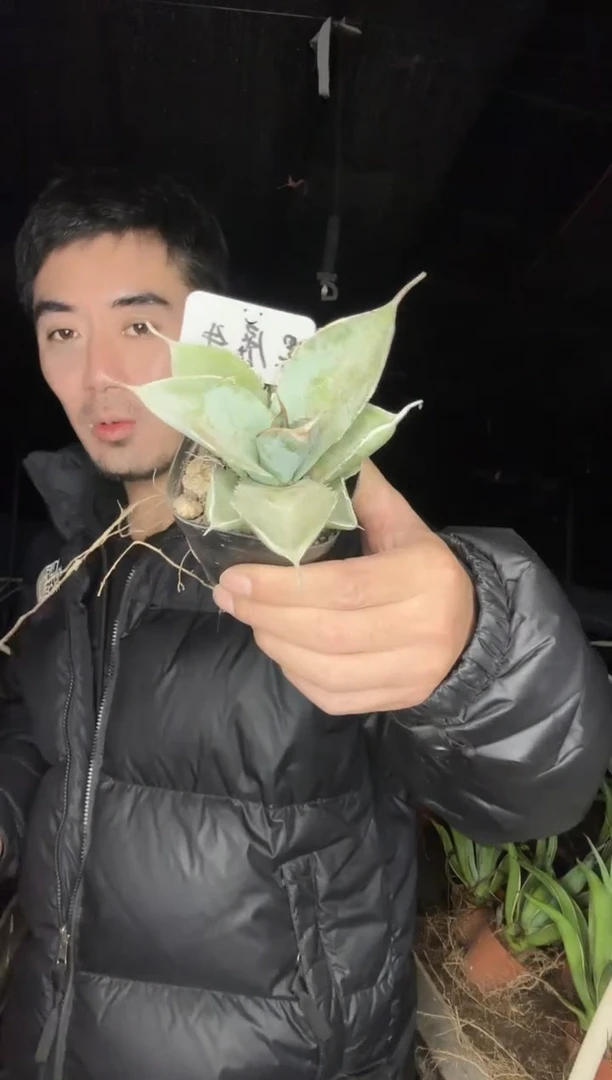 【闪购商品】黑犀牛11111