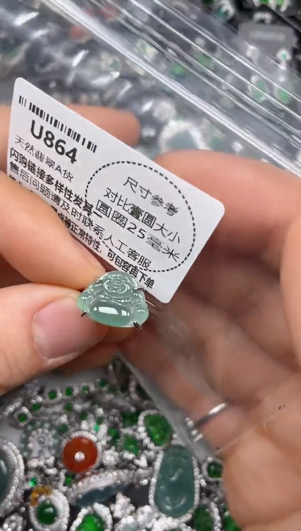 颈饰未镶嵌翡翠U864戒指