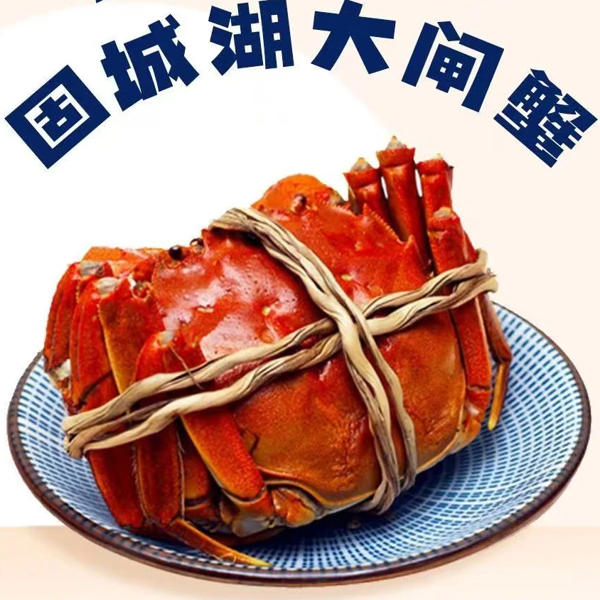 【活蟹】+江苏固城湖+江苏大闸蟹+母蟹+2.7-3 两+8只+顺丰冷链发货