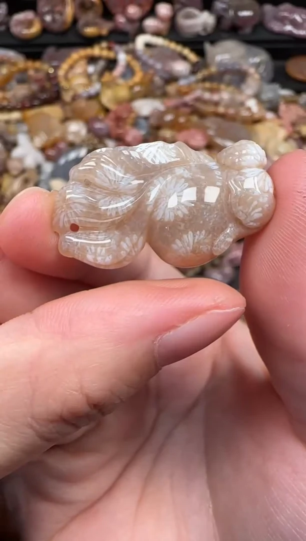 颈饰未镶嵌硅化珊瑚（珊瑚玉）116