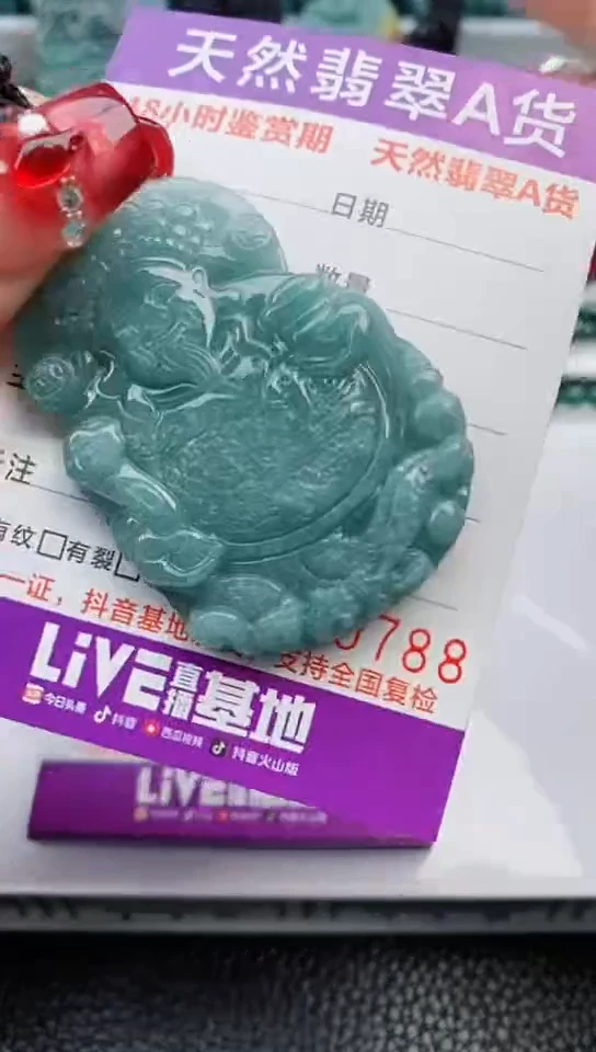 【闪购商品】翡翠颈饰未镶嵌