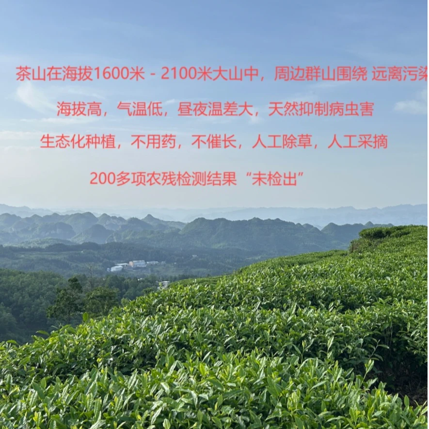 育贵【交个朋友】精品试饮 组合装共100克 限拍1单 可选红茶绿茶