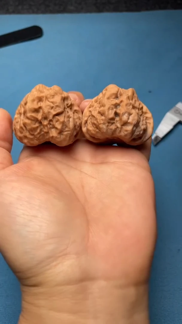 桃核把件w48  蛤蟆头41尺