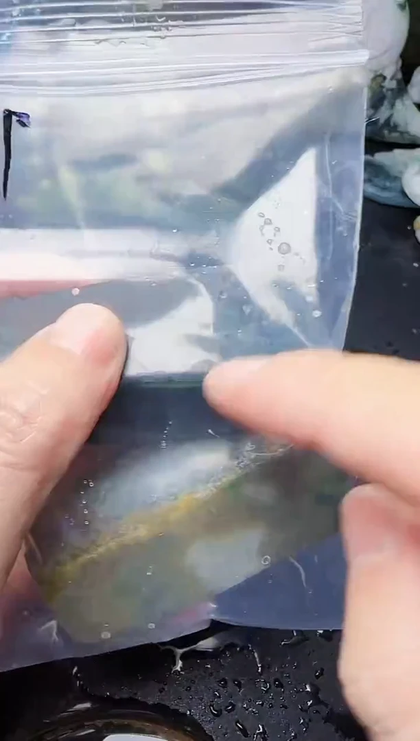 颈饰未镶嵌翡翠爱****恒21