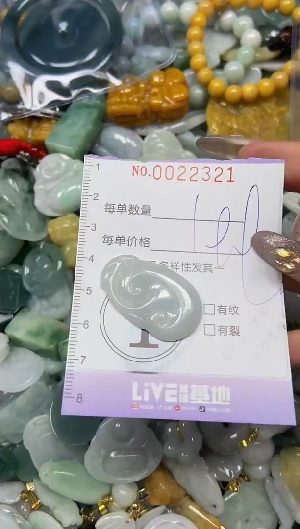 【闪购商品】翡翠颈饰未镶嵌闪购0022321