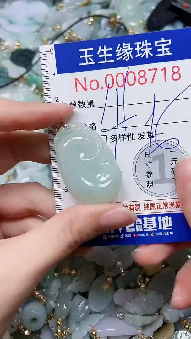 【闪购商品】翡翠颈饰未镶嵌闪购00008718