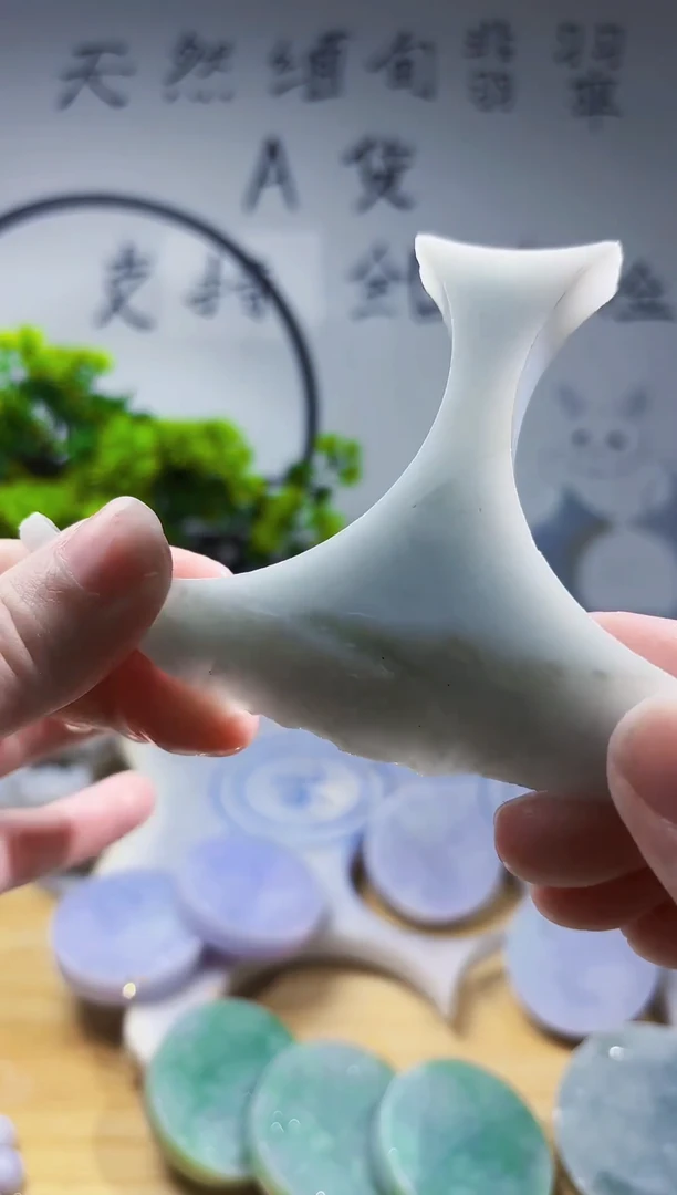 颈饰未镶嵌翡翠翡翠A货 谭764