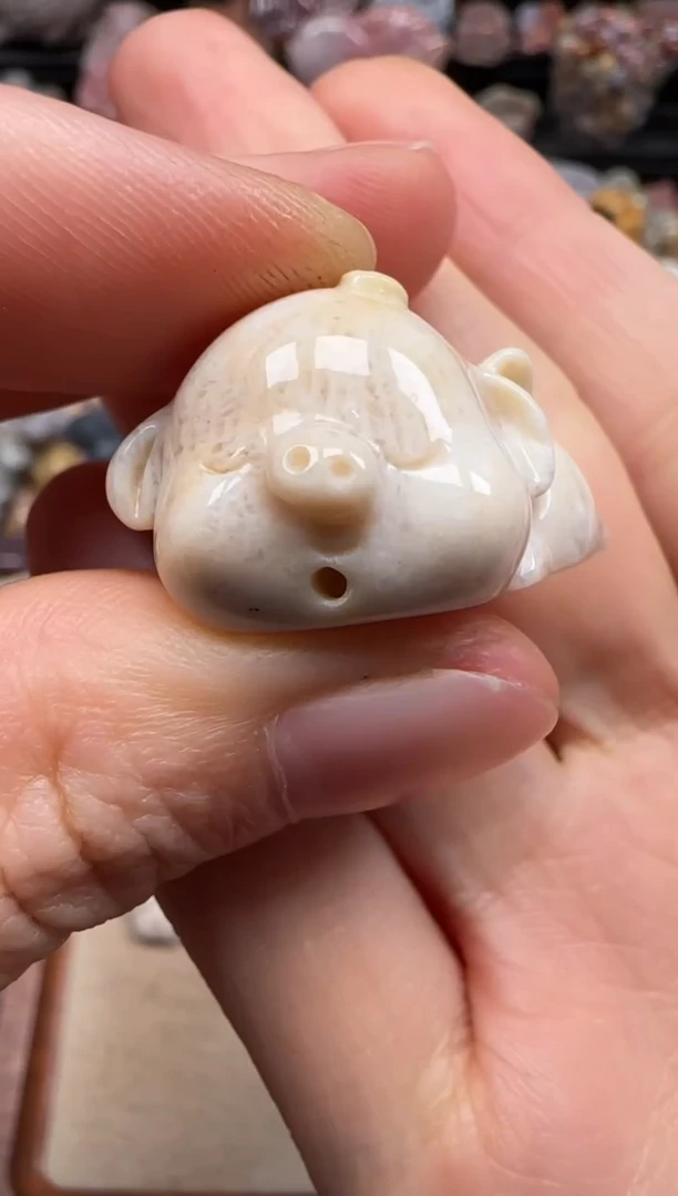 【闪购商品】硅化珊瑚（珊瑚玉）颈饰未镶嵌667