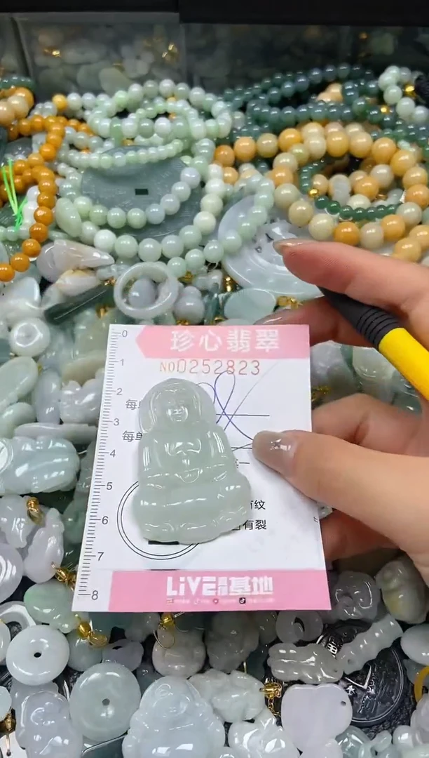 翡翠未镶嵌颈饰闪购0252823