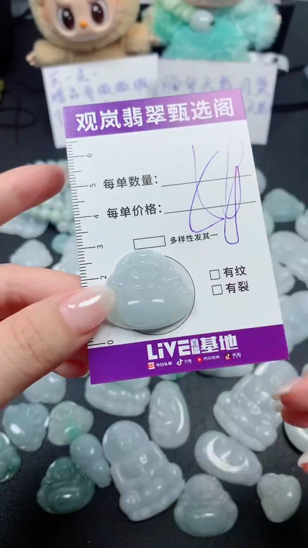 颈饰未镶嵌翡翠缅甸天然A货翡翠 保A保天然