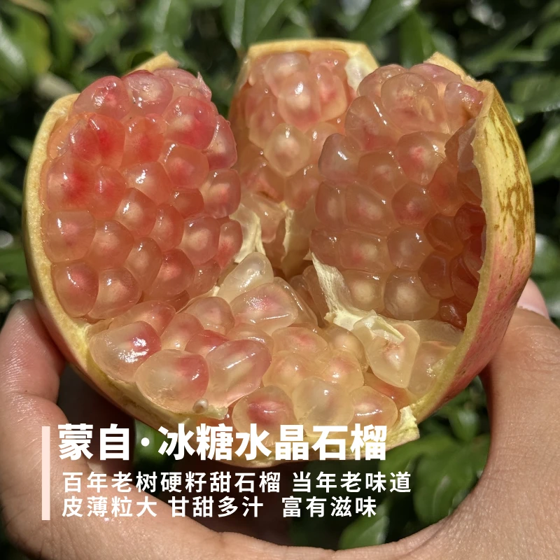 冰糖水晶石榴 蒙自甜石榴 皮薄粒大 甘甜有滋味【籽粒颜色不定】3斤
