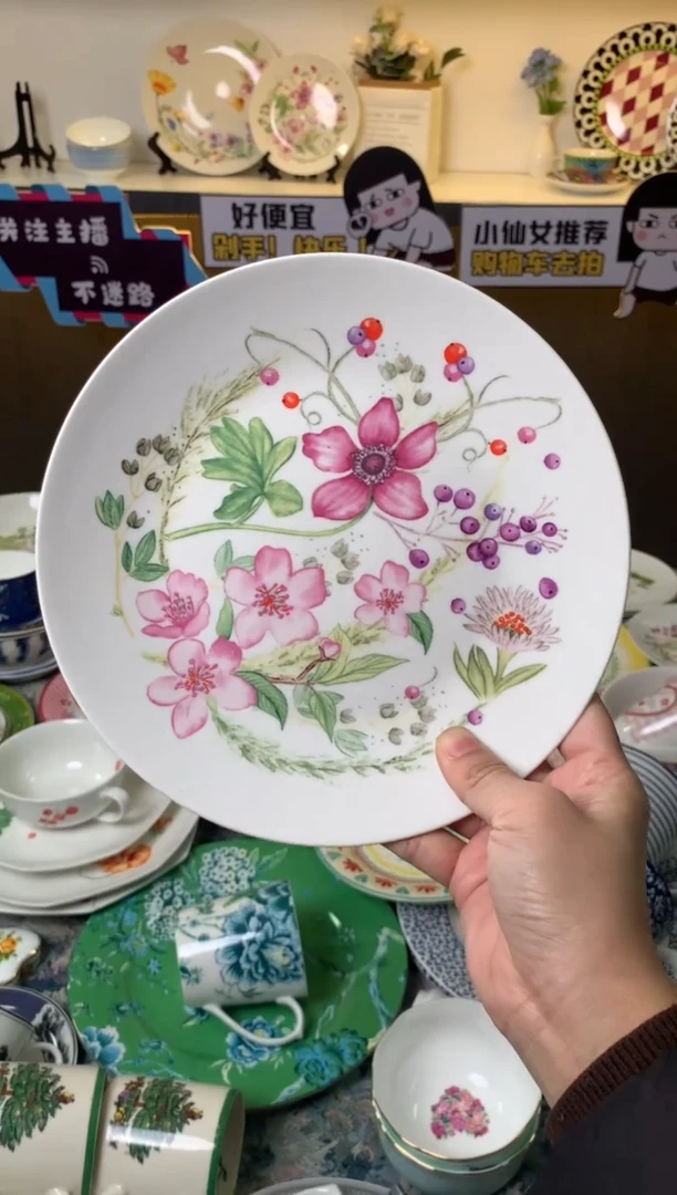 【闪购商品】瓷片陶瓷原单CC025餐具1个8寸